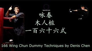 詠春木人樁  一百六十六式 | 166 Wing Chun Dummy Techniques