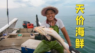 阿阳出海抓到“天价螃蟹”，据说最高能卖10000块，有钱还买不到