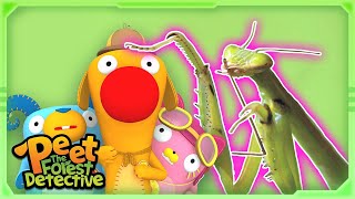 Save the Drowning Mantis! 🦗🌊 | Full Episode | Cartoons for Kids | Peet The Forest Detective