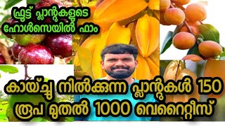 കേരളത്തിലെ ഏറ്റവും വലിയ Wholesale ഫാം |1000ൽ പരം കിടിലൻ വറൈറ്റികൾ | മുരളി ഫാം