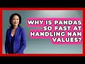 Why Is Pandas So Fast At Handling NaN Values? - Python Code School
