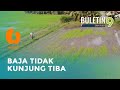 Petani Berdepan Isu Agihan Baja