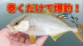 巻くだけで超釣れる！魚子メタルというライトソルト用スプーンが超優秀！