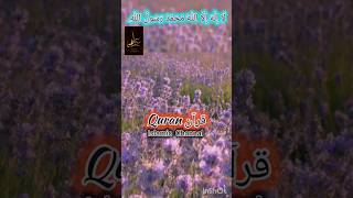 Surah Maryam Aayat {59_60}#Quran #short