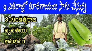 12 సంవత్సరాల నుండి కూరగాయలు పండిస్తున్న రైతు | Vegetables Farming Most Senior Farmer |