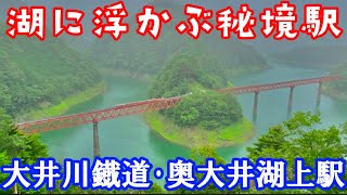 【セミしかいない!!】日本の境地･湖に浮かぶ奥大井湖上駅に列車が入線!!