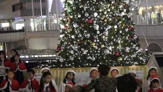 2013年 柏少年少女合唱団 ＠ 柏高島屋クリスマスイルミネーション点灯式