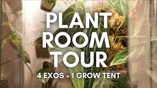 PLANT ROOM TOUR!