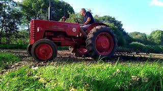 Harvning med International Harvester 250