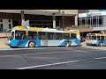 buses in halifax canada 2024