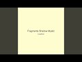 Fragments Shadow Mystic