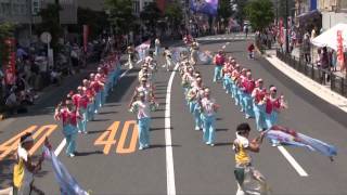 妃龍〔ひのよさこい2014　多摩平流し20140727〕