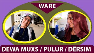 WARE - DEWA MUXS / PULUR / DÊRSIM