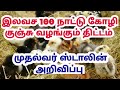 இலவசமாக 100 நாட்டு கோழி குஞ்சு வழங்கும் திட்டம் government schemes tamil