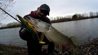 Savage Gear 4D PIKE SHAD 20cm/65GR NEWS 2019