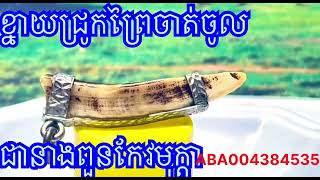 តេីខ្នាយជ្រូកព្រៃពិតជានាងពួនកែវមុក្តាមែនទេ