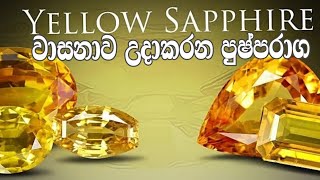 සෞභාග්‍යයේ දේවත්වය හිමිකර දෙන පුෂ්පරාග| yellow sapphire | හදහන| horuscope