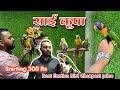 Best exotic birds cheapest price🤩Sai Krupa Aquarium & Pets in Borivali #pet