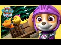 Pups Save the Princess & More Rescue Knights Missions 👑 | PAW Patrol Compilation + Cartoons for kids