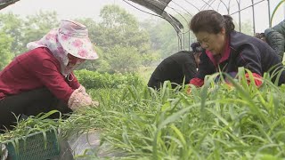 귀농ㆍ귀촌 인구 50만명 돌파…젊은 귀농 늘어 / 연합뉴스TV (YonhapnewsTV)