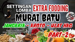 CARA SETTINGAN LOMBA EXTRA FOODING MURAI BATU (PART 2), JANGKRIK, KROTO & ULAT HONGKONG