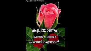 ഈ കല്യാണം കഴിഞ്ഞവരെ പ്രണയിക്കുന്നവർ 😢 ഒന്ന് കേൾക്കണേ ആരെ ശാപം വാങ്ങി വെക്കല്ലേ ആണായാലും പെണ്ണായാലും😢