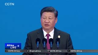 Egyptian analyst praises President Xi's speech as reformist