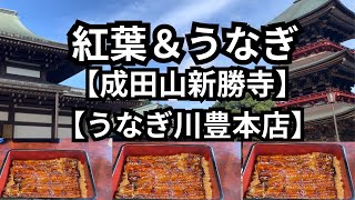 成田山新勝寺【うなぎ川豊本店】紅葉を満喫