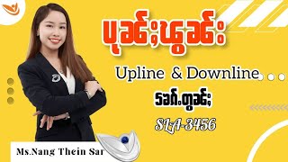 ပုၼ်ႈၽွၼ်း UplineလႄႈDownline #successmorethailand #successmore