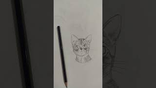 Sketched a little cute kitty #drawing #art #drawing #cat #kitten