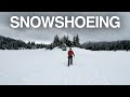 We walked across a frozen lake!! Snowshoeing at Gold Creek up in Snoqualmie Pass. (MSR EVO)