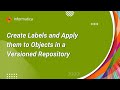 How to Create Labels and Apply them to Objects in a Versioned Repository