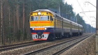 DR1A-227 diesel train near from stop Dārziņi.