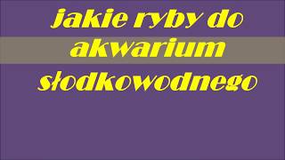 jakie ryby do akwarium słodkowodnego - dobór pięknych ryb słodkowodnych zbiornik wielogatunkowy