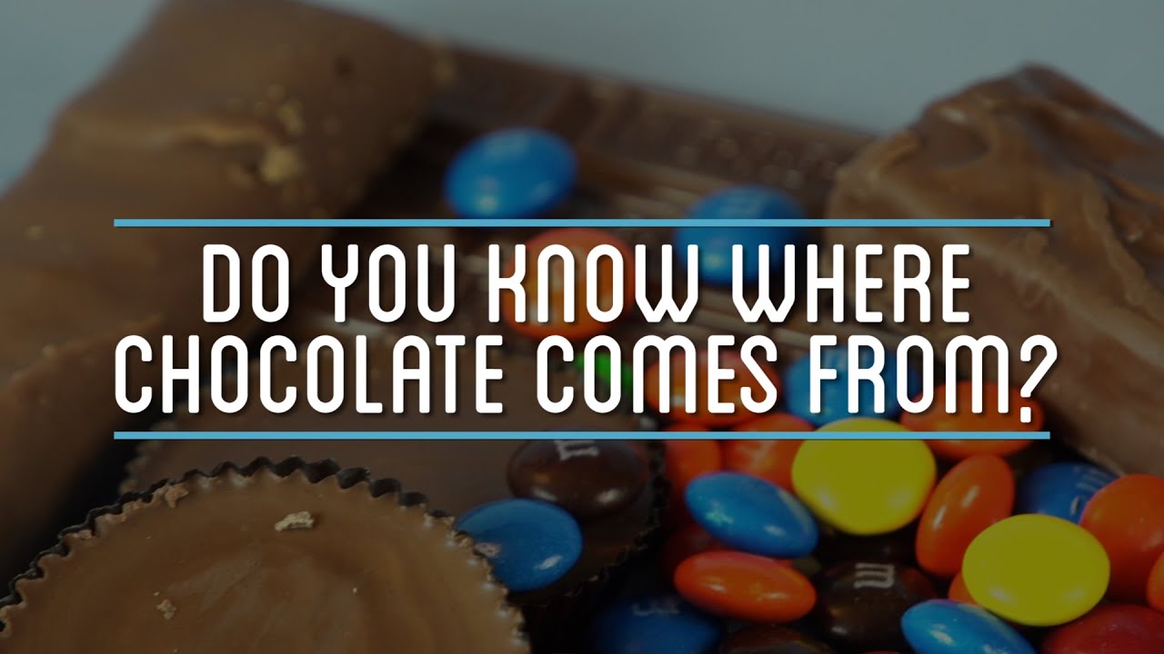 Making Chocolate Bars From Scratch