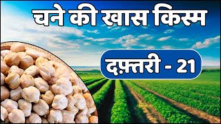 चने की खास किस्म दफ़्तरी 21 | Daftari 21 Chana Variety | Gram Variety