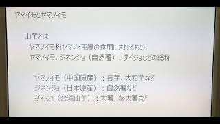 YouTuberに俺はなる！零余子(むかご)を植えてみた。