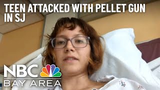 Teen Girl Suffers Collapsed Lung Following Pellet Gun Attack in San Jose