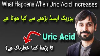 Uric Acid Badhne Se Kya Hota Hai | What Happens When Uric Acid Increases