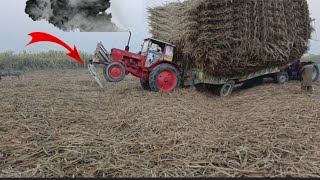 Great and Powerful Belarus Tractors to get sugarcane-filled trolley out of the field || Pendu life
