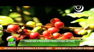 Más financiamiento para pequeños cafetaleros