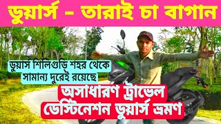 ডুয়ার্স তরাই চা বাগান / অসাধারণ ট্রাভেল ডেস্টিনেশন ডুয়ার্স ভ্রমণ #dooars