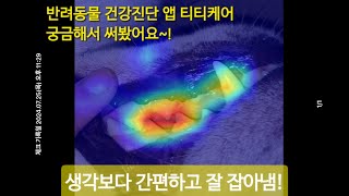 강아지 고양이 보호자들이 동물병원 가기 전 활용해보면 좋을  건강진단 어플!(광고아님)