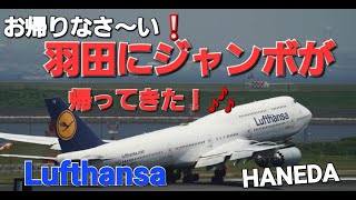 ✈✈RJTT羽田空港 お帰りなさ～い”羽田にルフトのジャンボが帰ってきた”ルフトハンザドイツ航空 LufthansaBoeing 747-830LandingRWY34L Take OffRWY16L