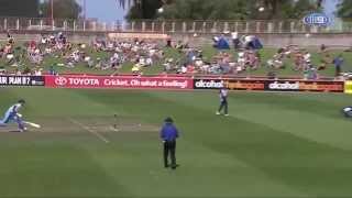 the best run out by any wicket keeper in cricket
