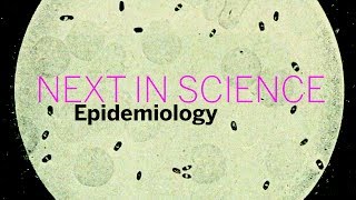Next in Science: Epidemiology | Part 1 || Radcliffe Institute
