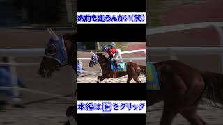 【笠松競馬場】お前も走るんかい（笑）  #競馬