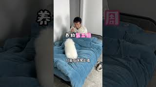 你们的狗狗是怎么一步步突破你们的底线的？#养狗人 #小狗 #我的狗子 #养宠人的治愈谁懂啊 #狗狗是生活的解药 #养狗人 #狗訓練 #科学养宠攻略