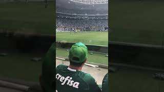Corintiano infiltrado na torcida do Palmeiras apanha no Allians