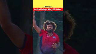 Lasith Malinga King Of Yorker😱Facts About Lasith Malinga #shorts #short #lasithmalinga #bowser